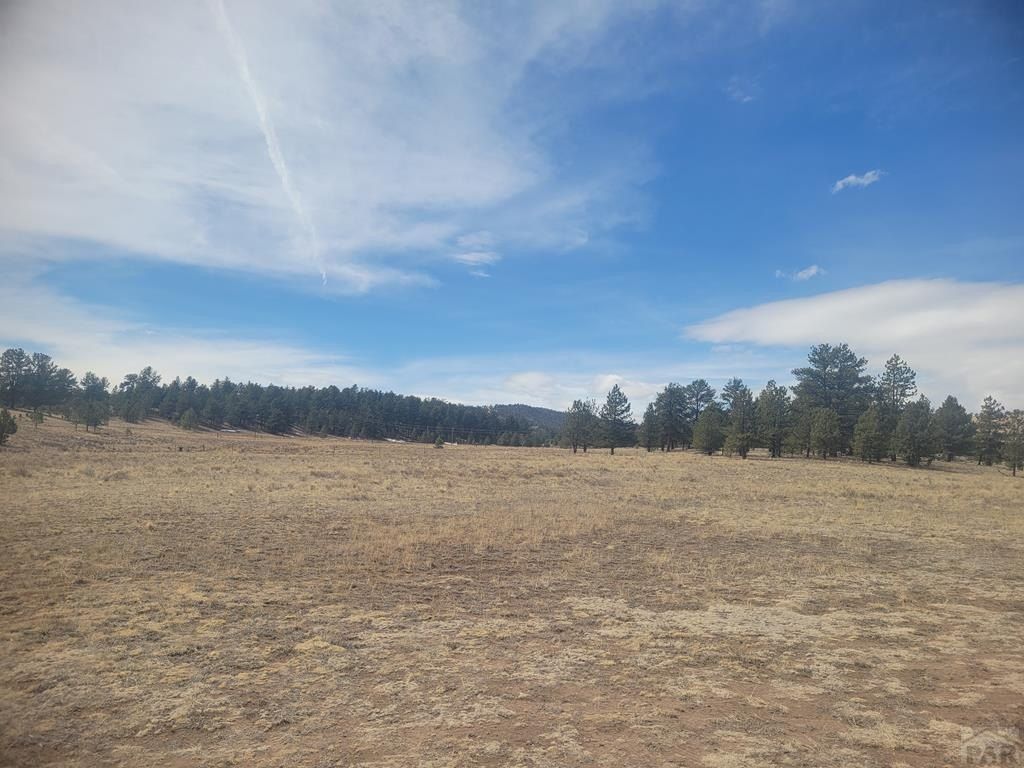 2450 Antelope Lane - Home for sale in Guffey, CO