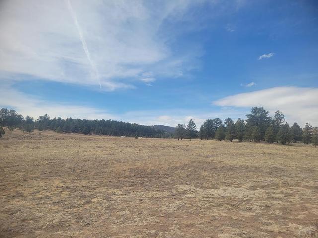2450 Antelope Lane - Home for sale in Guffey, CO