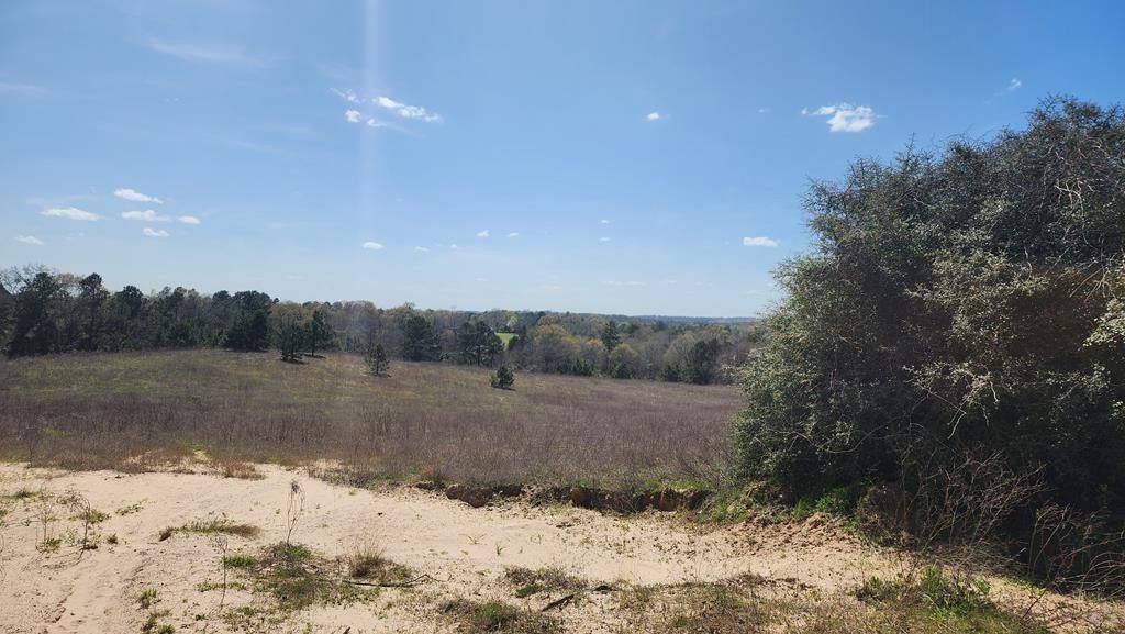 0 AN COUNTY ROAD 441 - Land for sale in PALESTINE, TX
