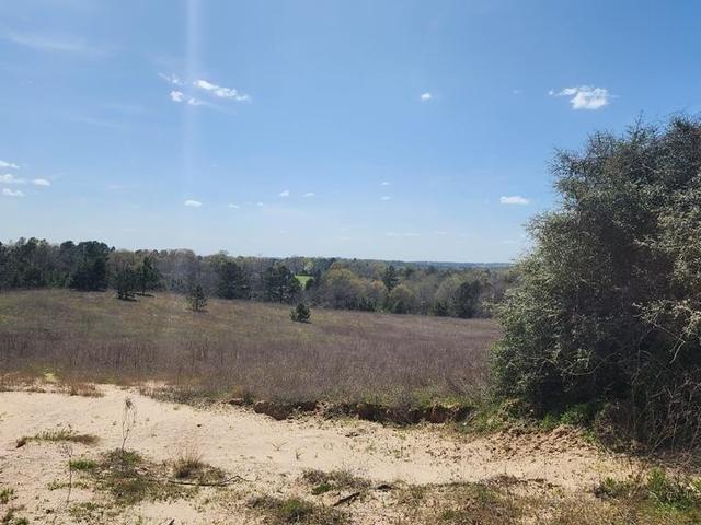 0 AN COUNTY ROAD 441 - Land for sale in PALESTINE, TX