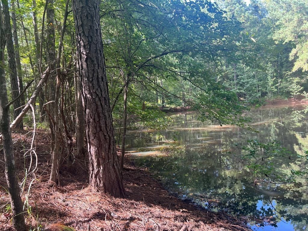 0 AN COUNTY RD 441 - Single Family for sale in PALESTINE, TX