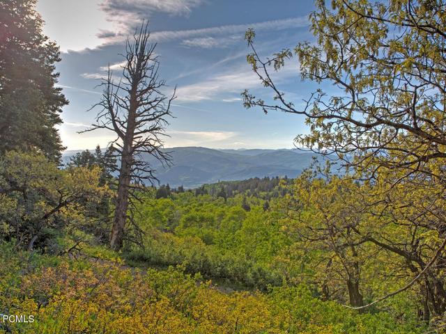1986 Pine Meadow Drive lot: Dms-2 - Home for sale in Coalville, UT