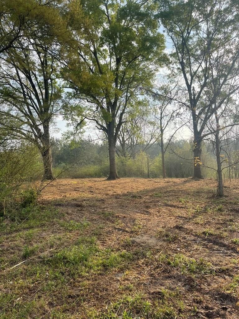 0 Buck Kirkland Rd - Land for sale in Poplarville, MS