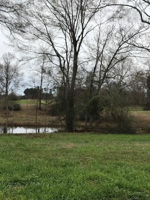 0 Whispering Lane Lot 47 - Land for sale in Poplarville, MS