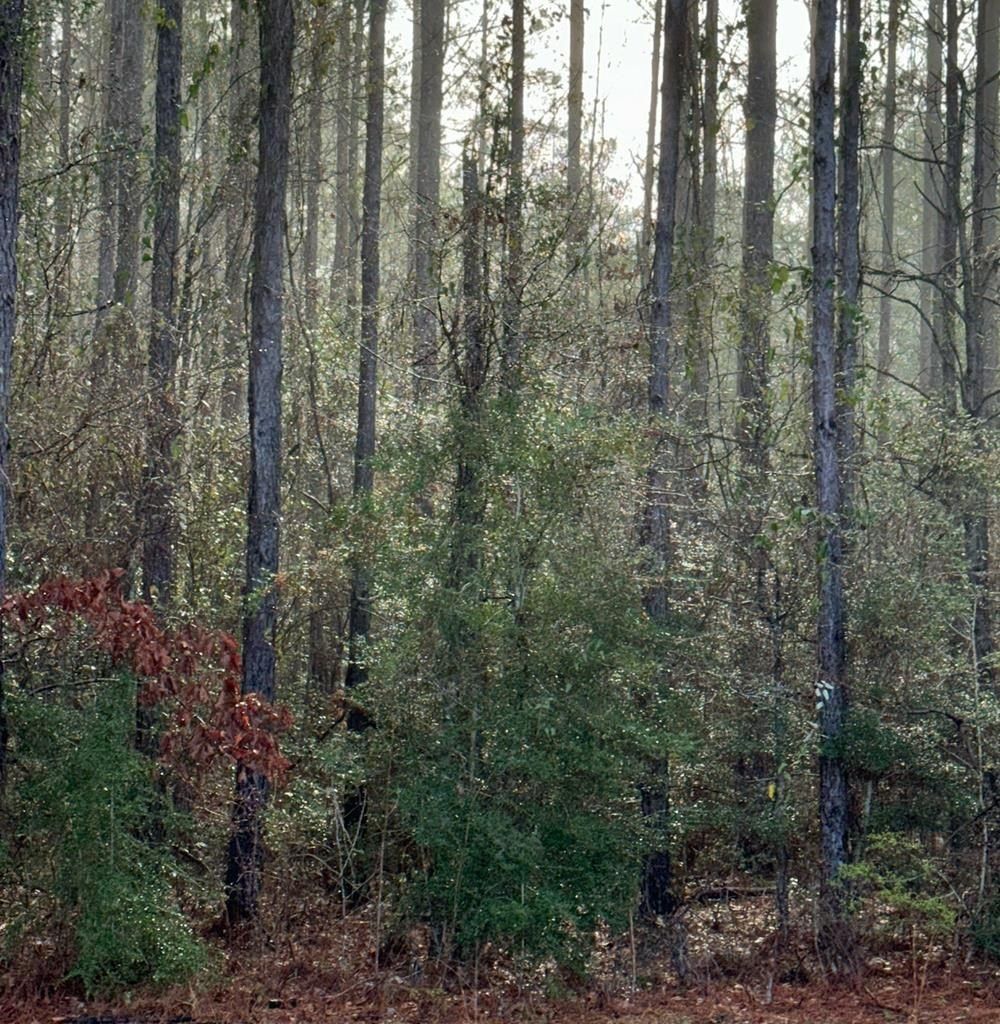 0 Hilltop Dr Lot 422 - Land for sale in Carriere, MS