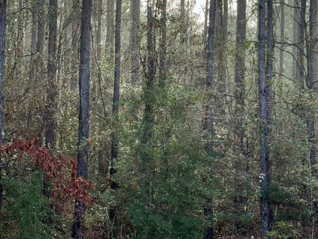 0 Hilltop Dr Lot 422 - Land for sale in Carriere, MS