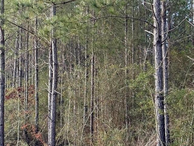 0 Glenwood Dr Lot 444 - Land for sale in Carriere, MS