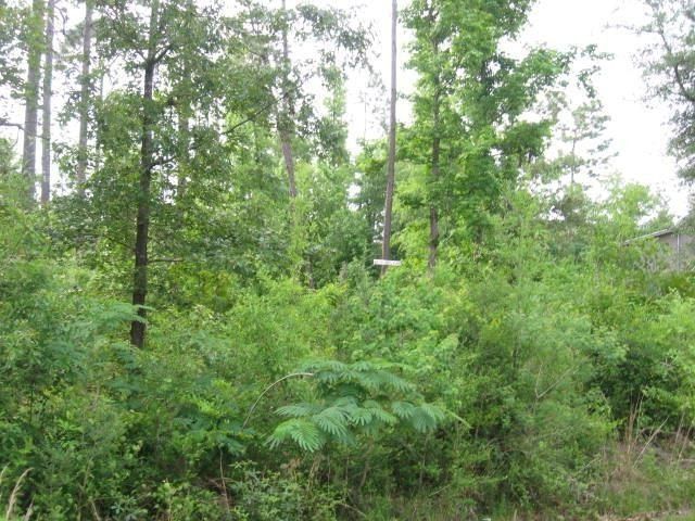 0 Pinedale Dr Lot 459 - Land for sale in Carriere, MS