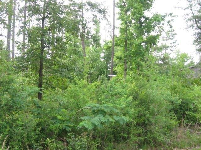0 Ridgeview Dr Lot 611 - Land for sale in Carriere, MS