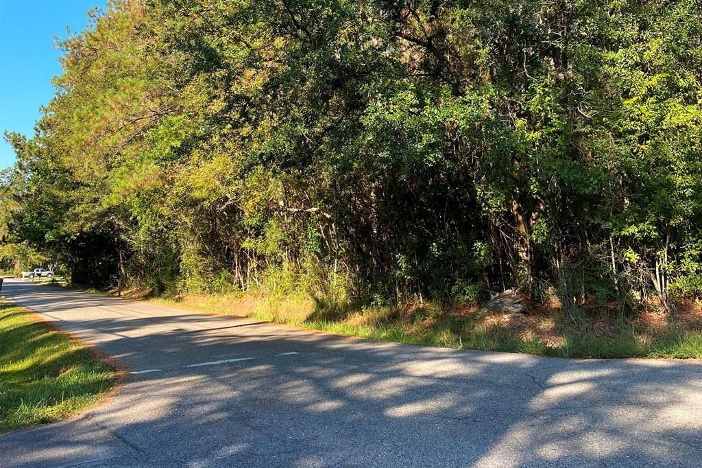 00 Elm Street - Land for sale in Picayune, MS