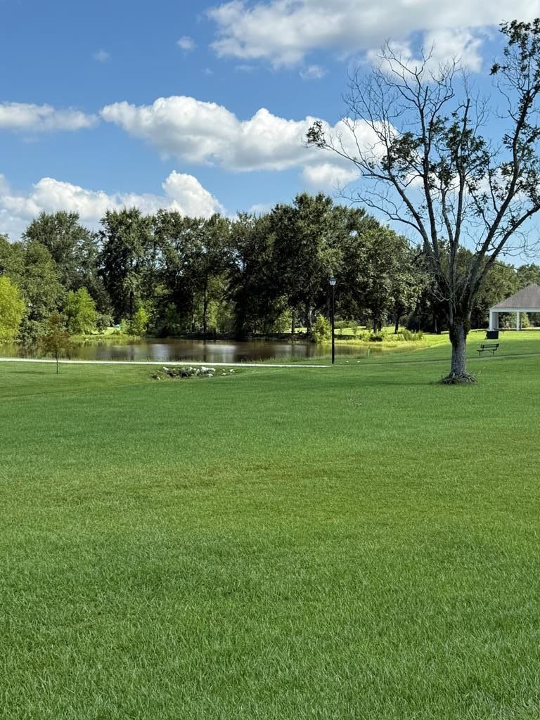 0 Bellmead - Land for sale in Carriere, MS