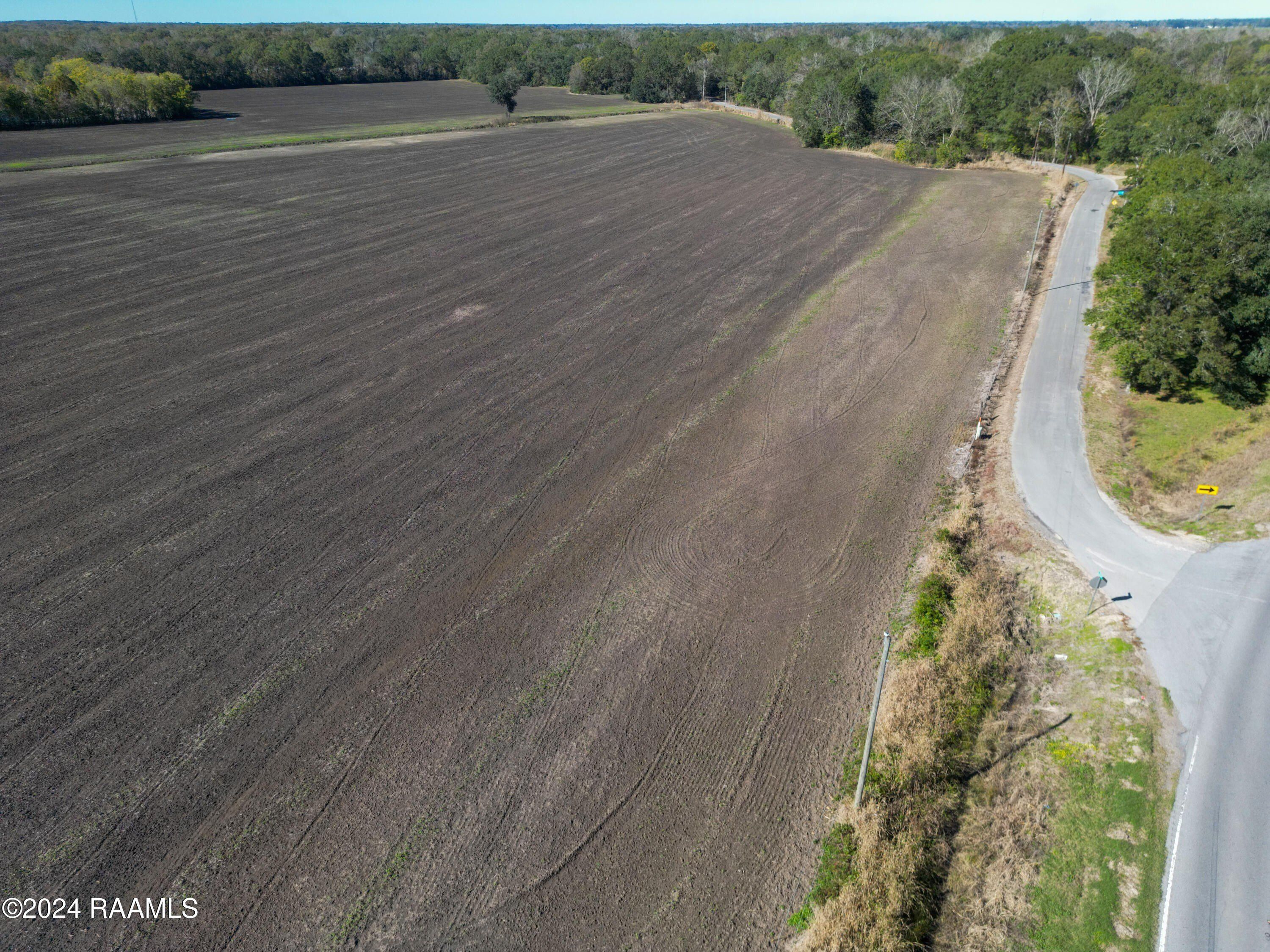 00000 Declouet Hwy - Land for sale in Breaux Bridge, LA