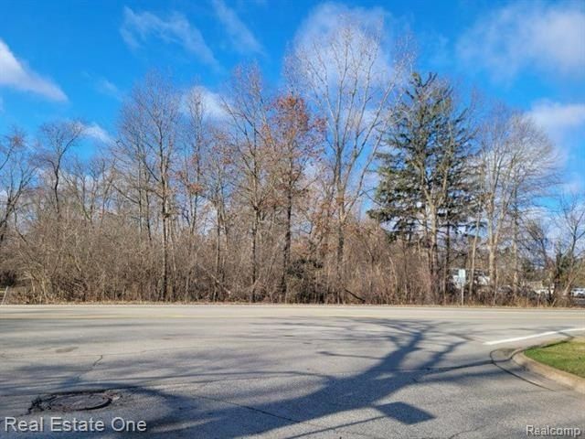 0000 UNION LAKE ROAD - Land for sale in White Lake, MI