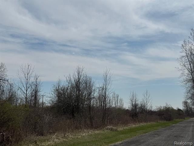 00 Metcalf Road - Land for sale in Clyde, MI
