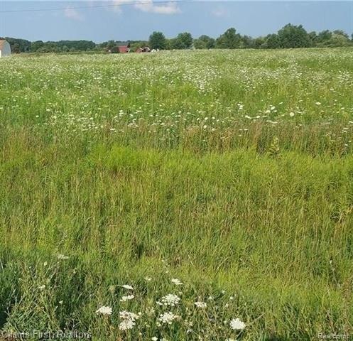 0 CAPAC Road - Land for sale in Capac, MI