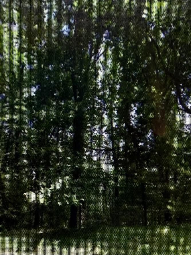 0 Raintree RD - Land for sale in Roanoke, VA