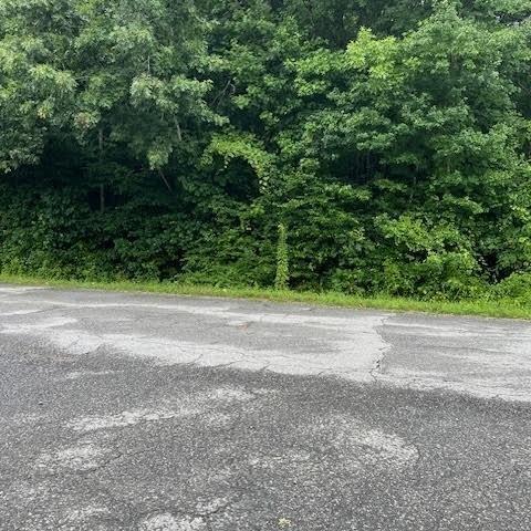 000 Lawrenceivlle Plank Rd - Land for sale in Lawrenceville, VA