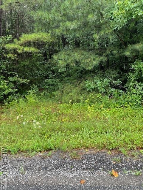 000 Lawrenceville Plank Rd - Land for sale in Lawrenceville, VA