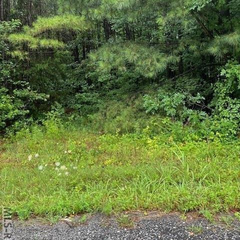 000 Lawrenceville Plank Rd - Land for sale in Lawrenceville, VA