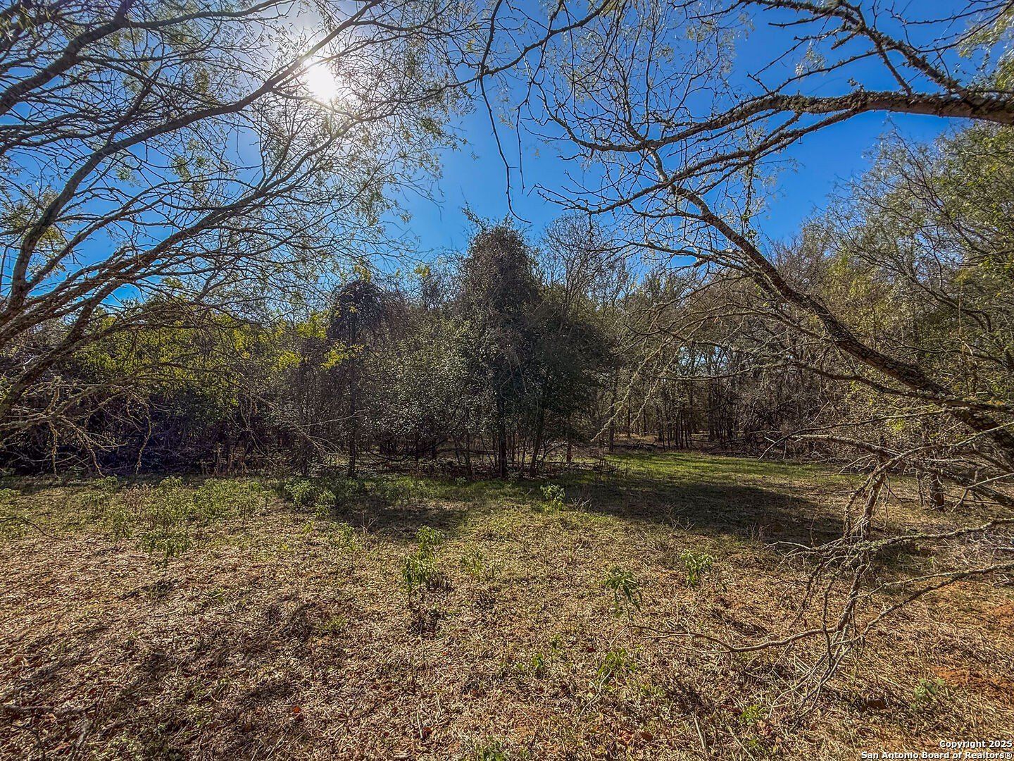 000 TRACT 3 & 5 Fm 539 - Land for sale in La Vernia, TX