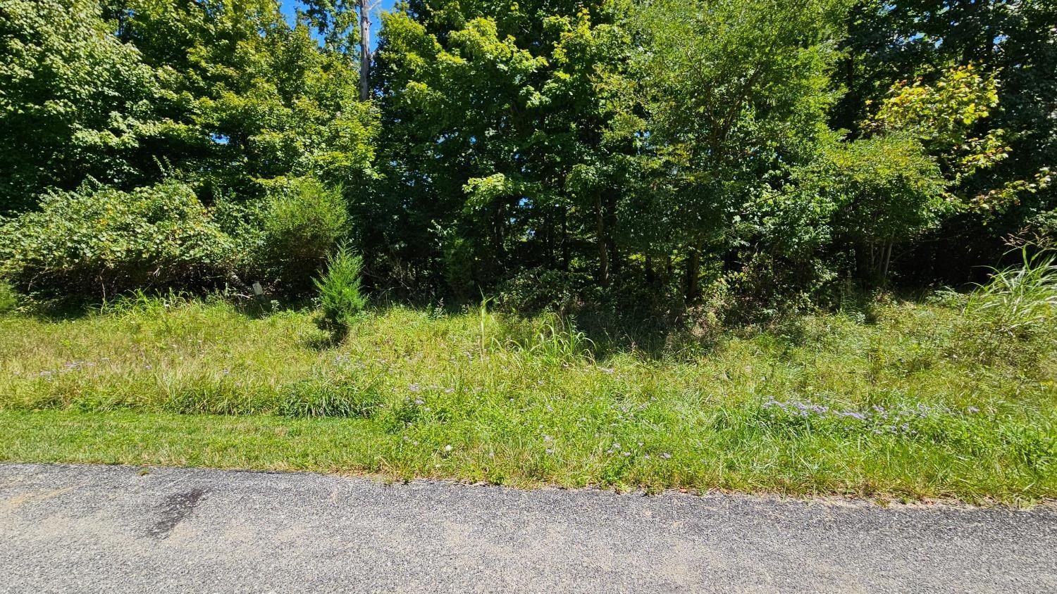 0 37 Indian Ridge Drive - Land for sale in Aurora, IN