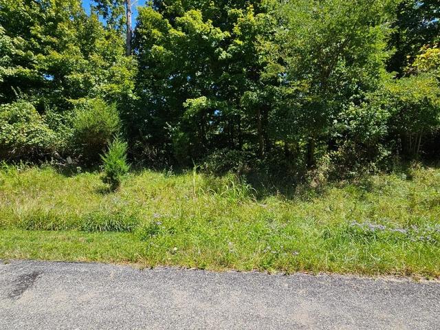 0 37 Indian Ridge Drive - Land for sale in Aurora, IN
