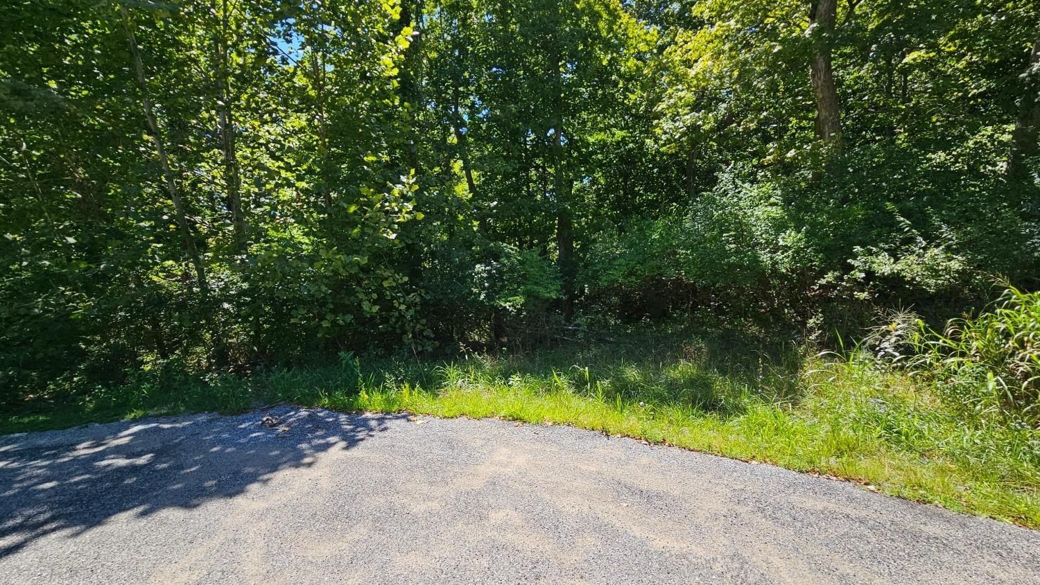 0 48 Falling Rock Drive - Land for sale in Aurora, IN