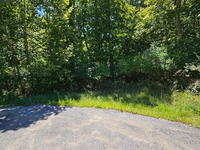 0 48 Falling Rock Drive - Land for sale in Aurora, IN