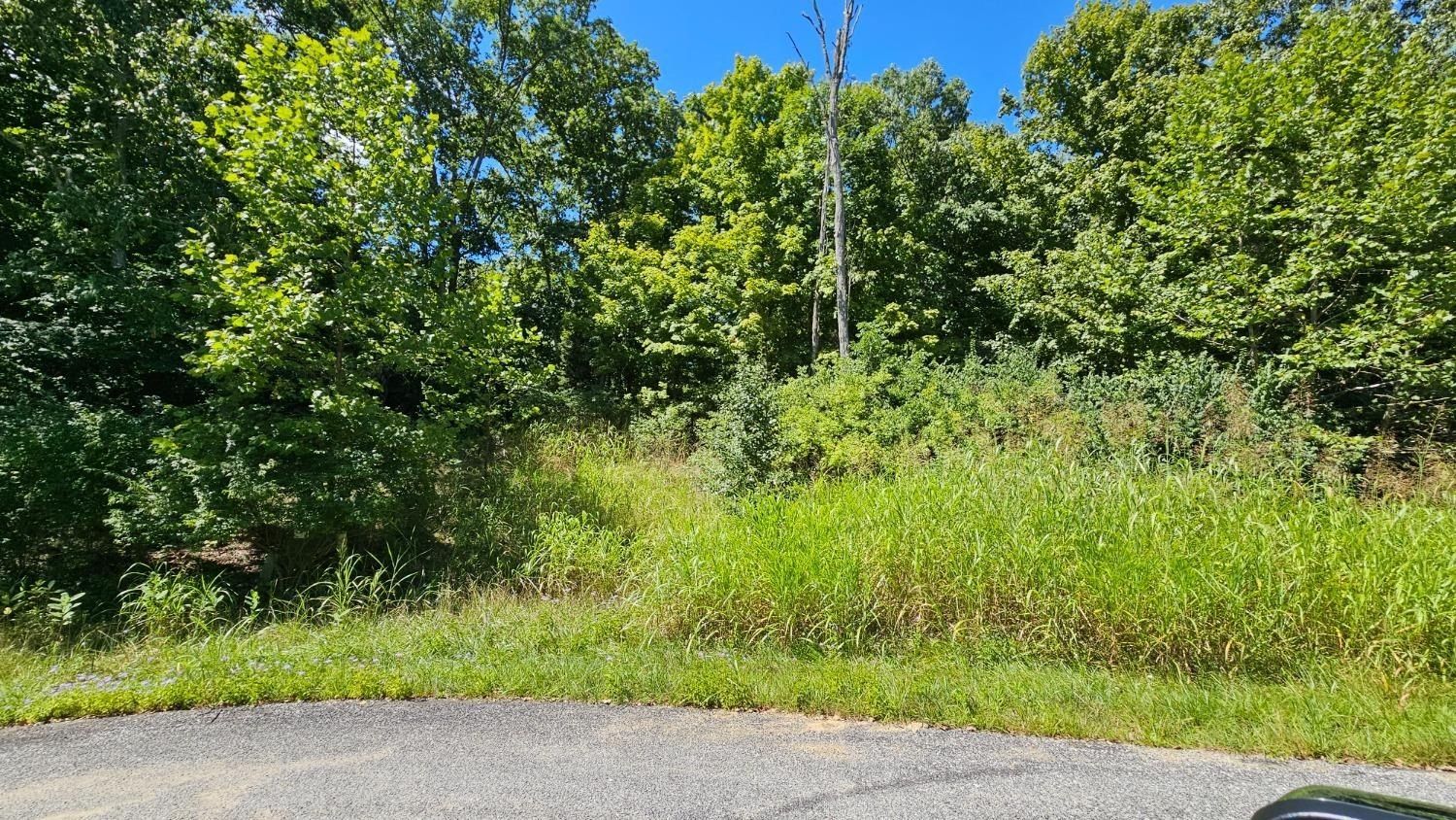 0 51 Falling Rock Drive - Land for sale in Aurora, IN