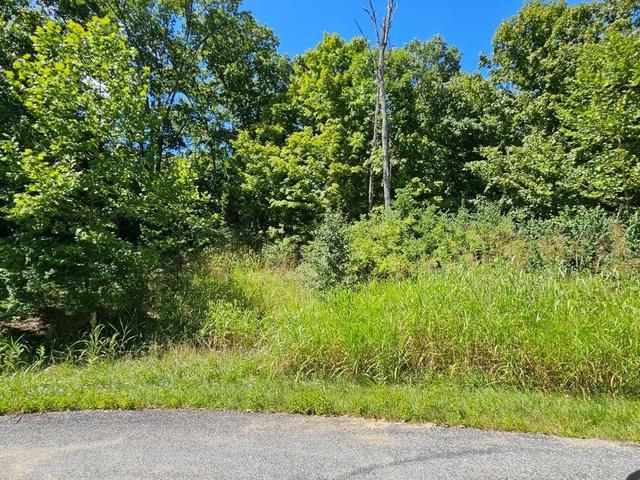 0 51 Falling Rock Drive - Land for sale in Aurora, IN