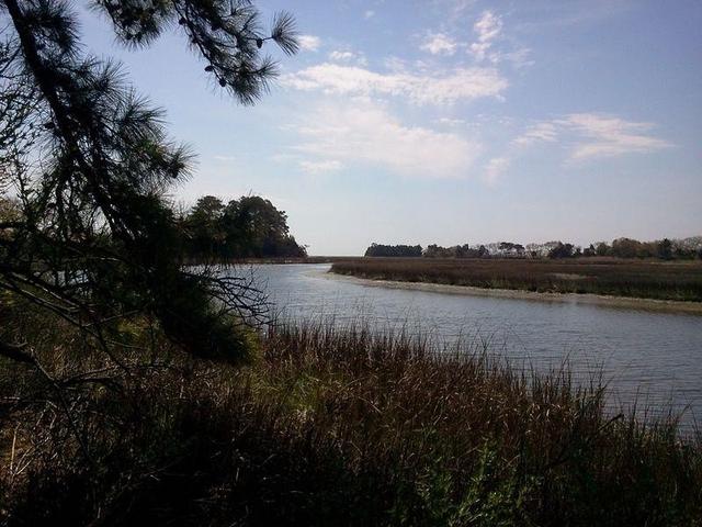 0 ALICATO RD - Land for sale in PARKSLEY, VA