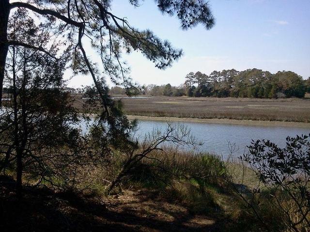 0 ALICATO RD - Land for sale in PARKSLEY, VA