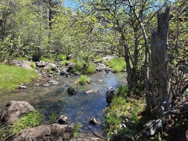 000 Pitville Road - Land for sale in McArthur, CA