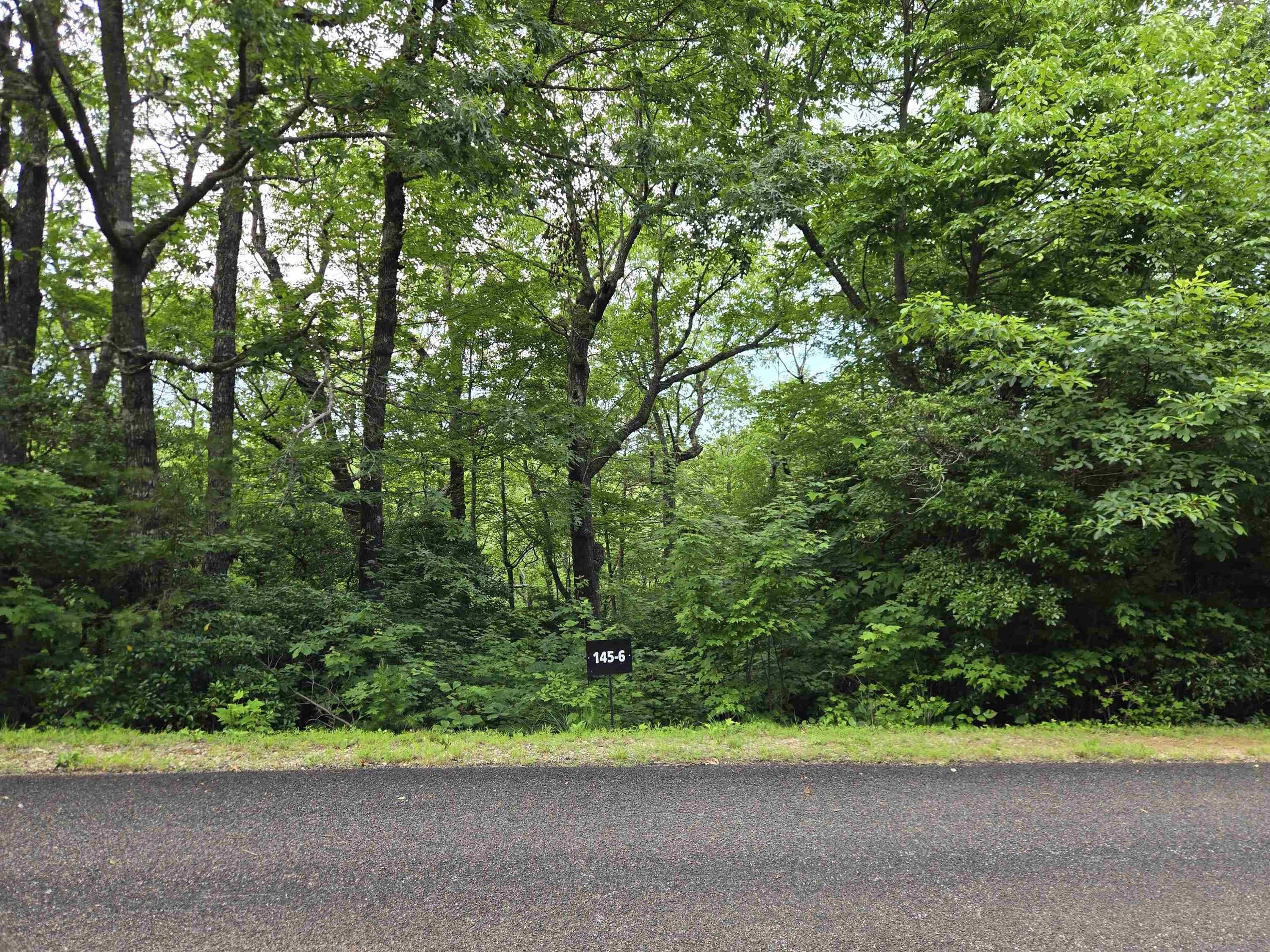 0 Snap Dragon Way - Land for sale in Landrum, SC