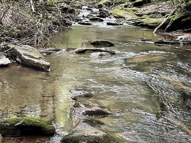 0 Green Creek Drive - Land for sale in Tryon, NC