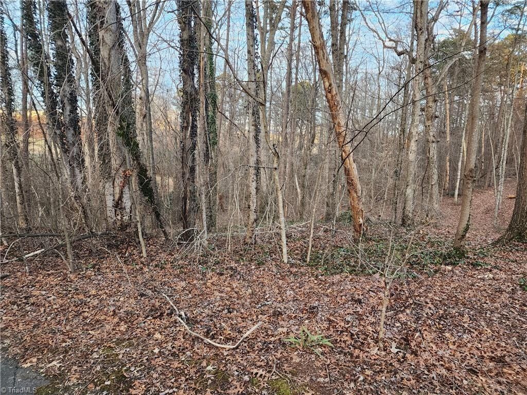 00 Nancy Drive - Land for sale in Mount Airy, NC