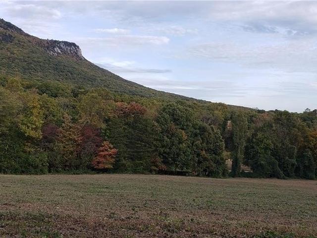 0 Reid Road - Land for sale in King, NC