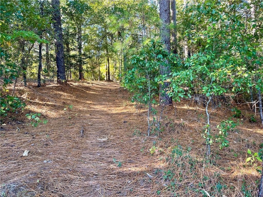 0 Hylan Avenue - Land for sale in Hamlet, NC
