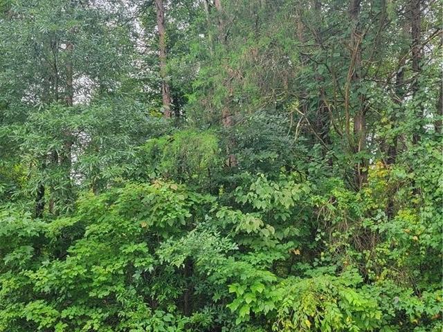 0 Ambridge Drive - Land for sale in Kernersville, NC