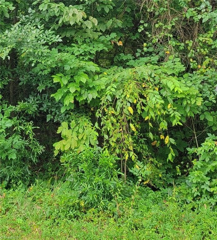 0 AMBRIDGE Drive - Land for sale in Kernersville, NC