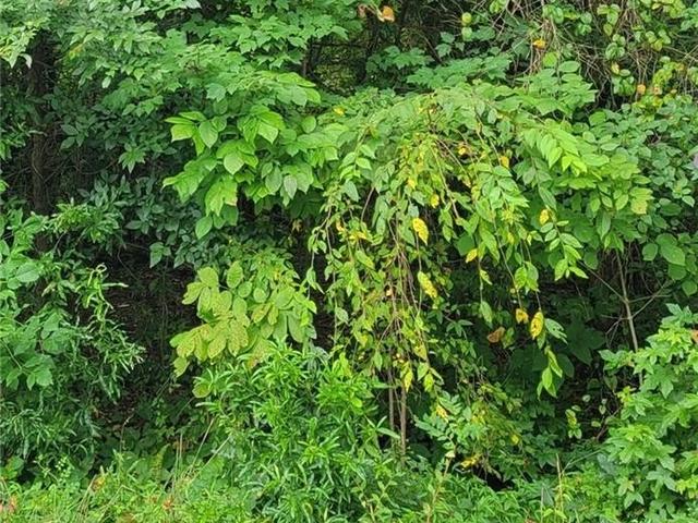 0 AMBRIDGE Drive - Land for sale in Kernersville, NC