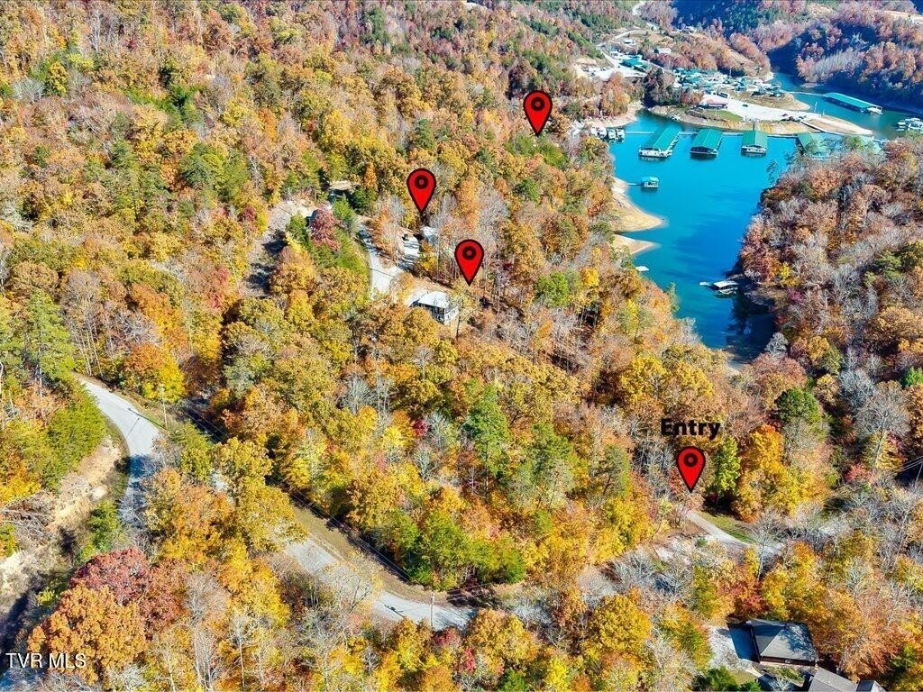 Homes for sale in New Tazewell, Tennessee