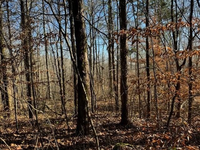 232 AC New Hope Rd - Land for sale in Celina, TN