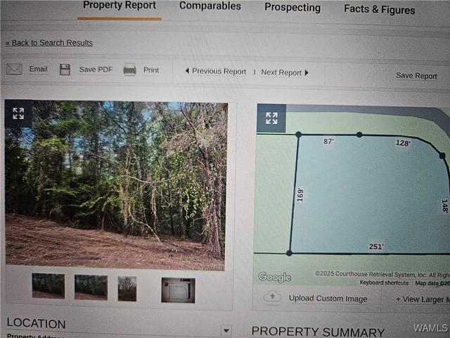 10 Magnolia Creek - Land for sale in Gordo, AL