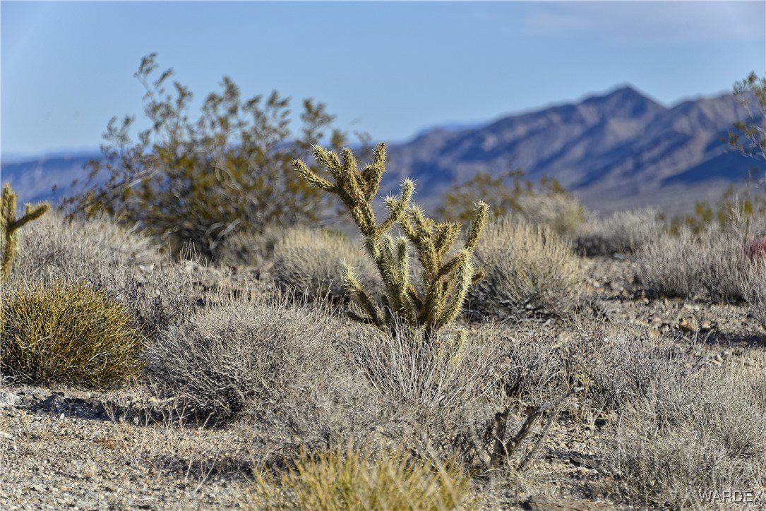 6 lots Thunder Rapids Drive - Land for sale in Meadview, AZ