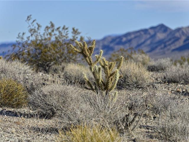 6 lots Thunder Rapids Drive - Land for sale in Meadview, AZ
